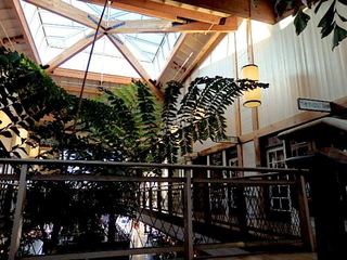 000-P2170016.jpg