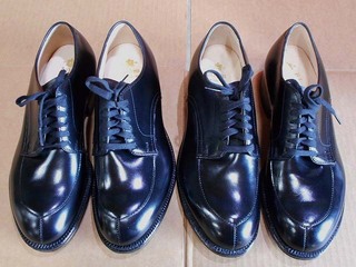 2015-04-#1 54411 7Dと8D.jpg