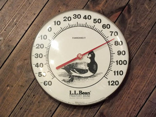 2018-04-25-thermometer (1).jpg
