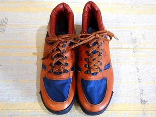 NBレーニア (1).jpg